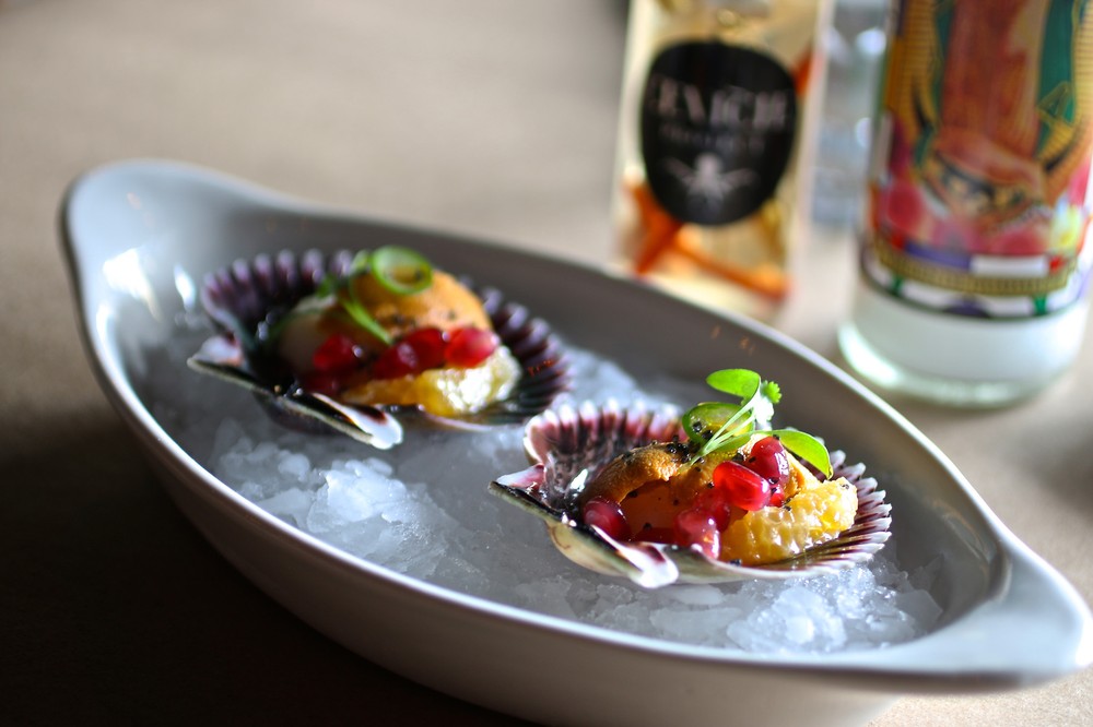 scallop_ceviche_project_salsa_bruja