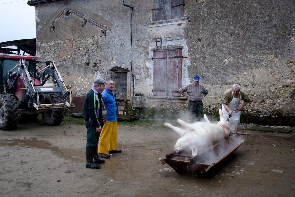 14/01/2014 - France / Aquitaine - Le boucher utilise un chalumeau pour enlever les derniers poils de la carcasse qui repose dans la maie en bois (meyt en gascon). Le tue-cochon, ou fete du cochon, est une tradition des campagnes francaises, qui correspond a l'abattage, la decoupe et la cuisine de la viande de porc. Autrefois moment important de la vie rural, cette tradition se perd aujourd'hui. Simon Lambert / Haytham Pictures 14/01/2014 - France / Aquitaine - Kill the pig - The butcher uses a blowtorch to burn the last hair remaining on the pig in the wooden bread box. Simon Lambert / Haytham Pictures