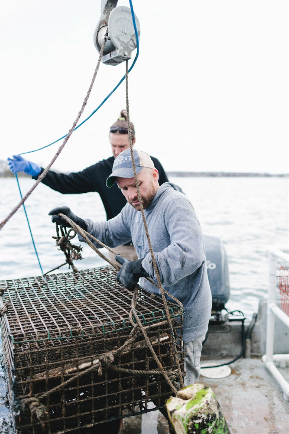 Thimble Island, Oysters, Bren Smith