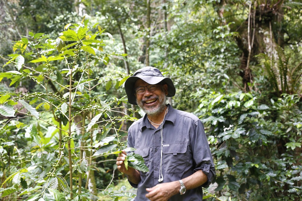 thaicoffee_in-fields