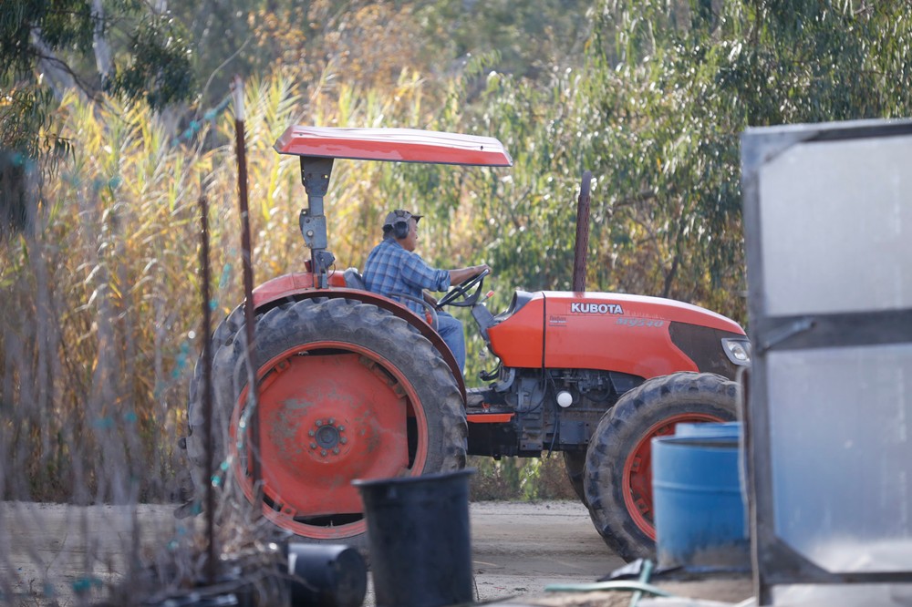 San Diego California, USA, December 13th 2016: | Chino Farms located in Rancho Santa. The farm is recognize and publicize for the high quality produce. Tom Chino driving the tractor towards the fields. | (Alejandro Tamayo)