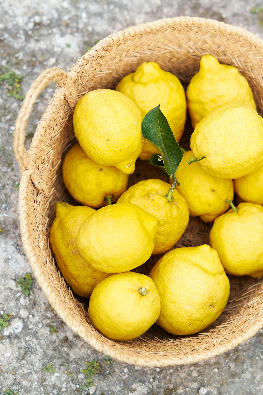 lemons-ibiza-cookbook