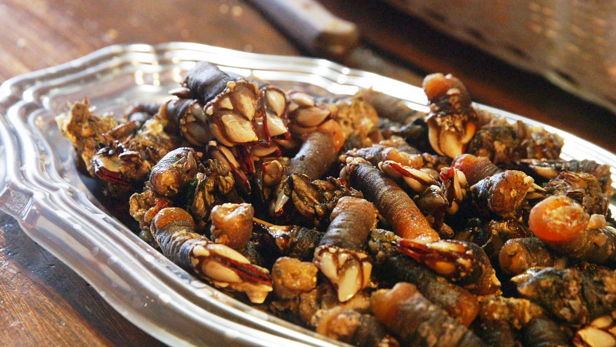 Goose Barnacles (Percebes) MUNCHIES