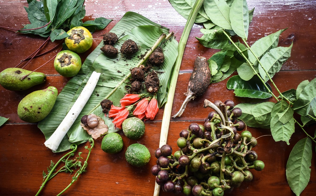 inside-the-food-forests-of-the-amazon-rainforest-munchies