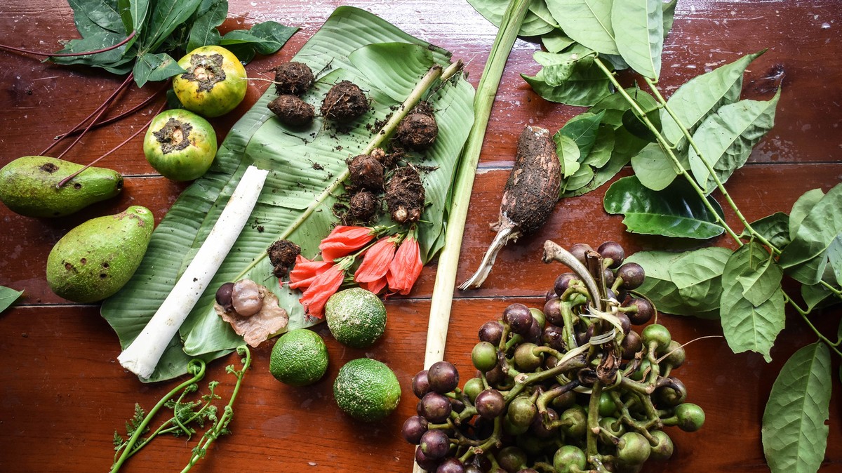 inside-the-food-forests-of-the-amazon-rainforest