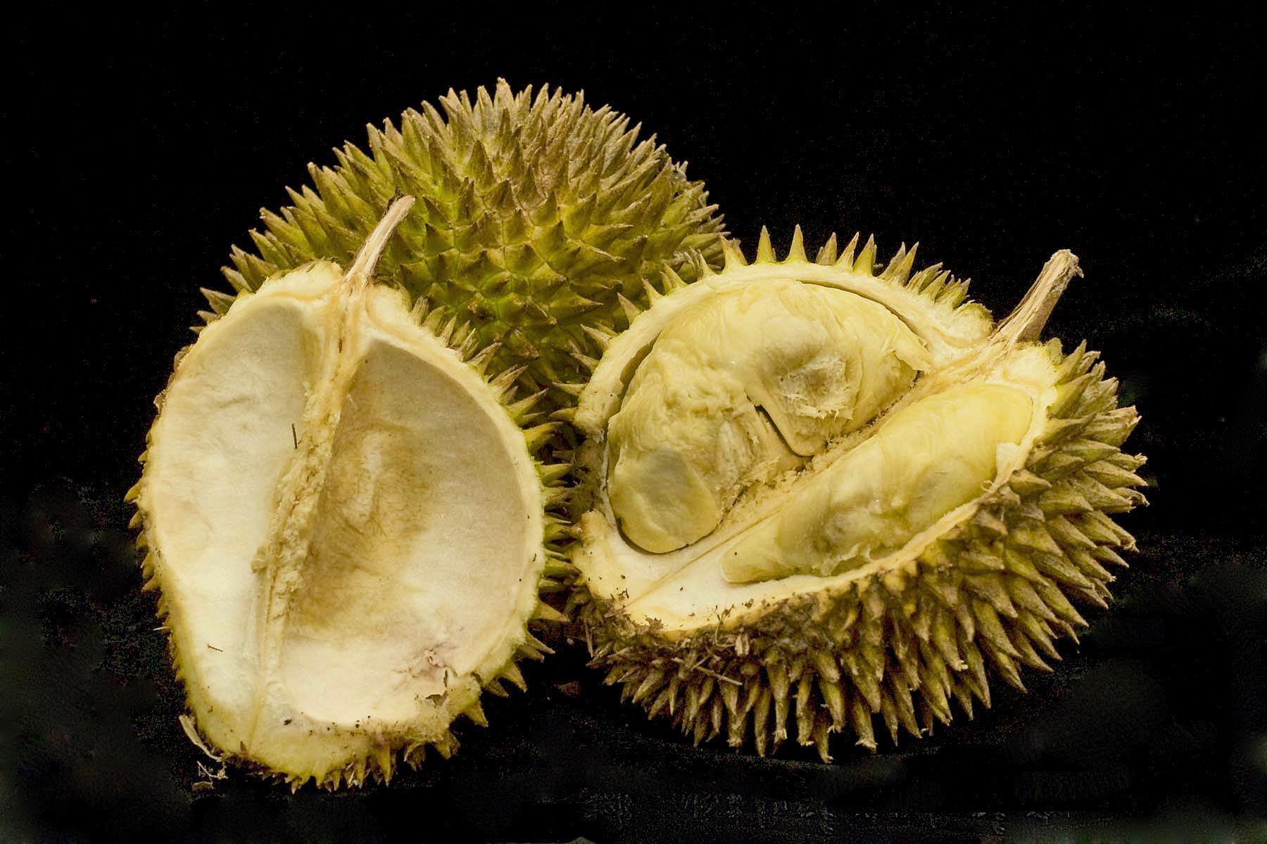 Durian Fruit: Smelly but Incredibly Nutritious