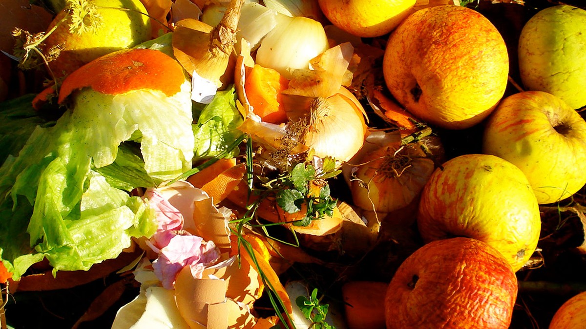 What Would Happen If Food Waste Is Not Reduced