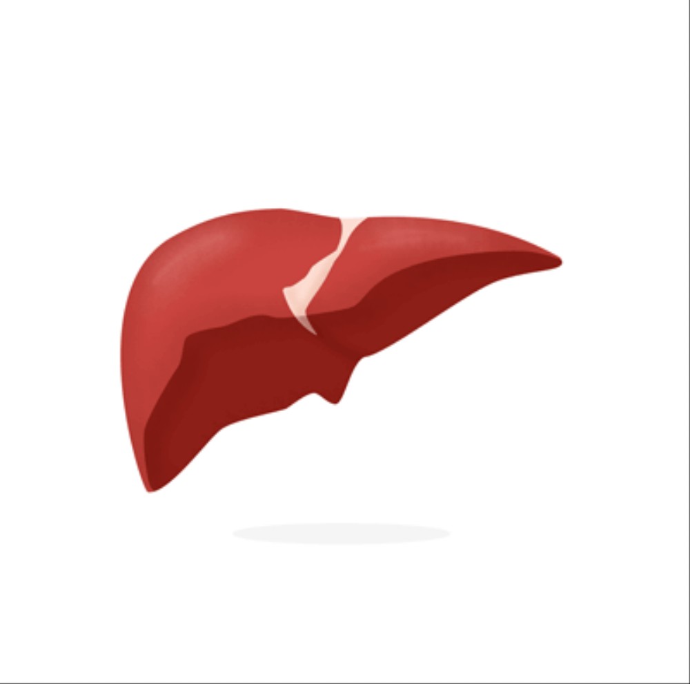 liver_test