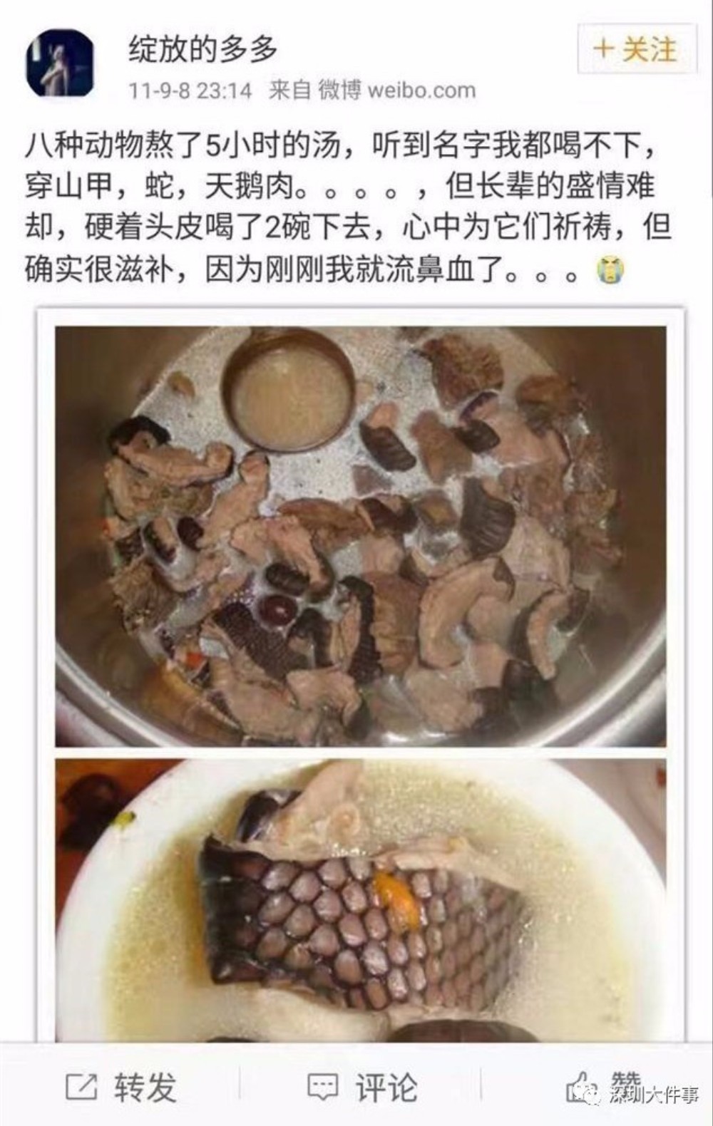 pangolin-princess-stew-weibo