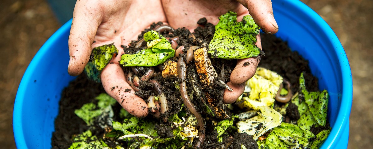 having-a-compost-bin-makes-you-care-less-about-food-waste-vice