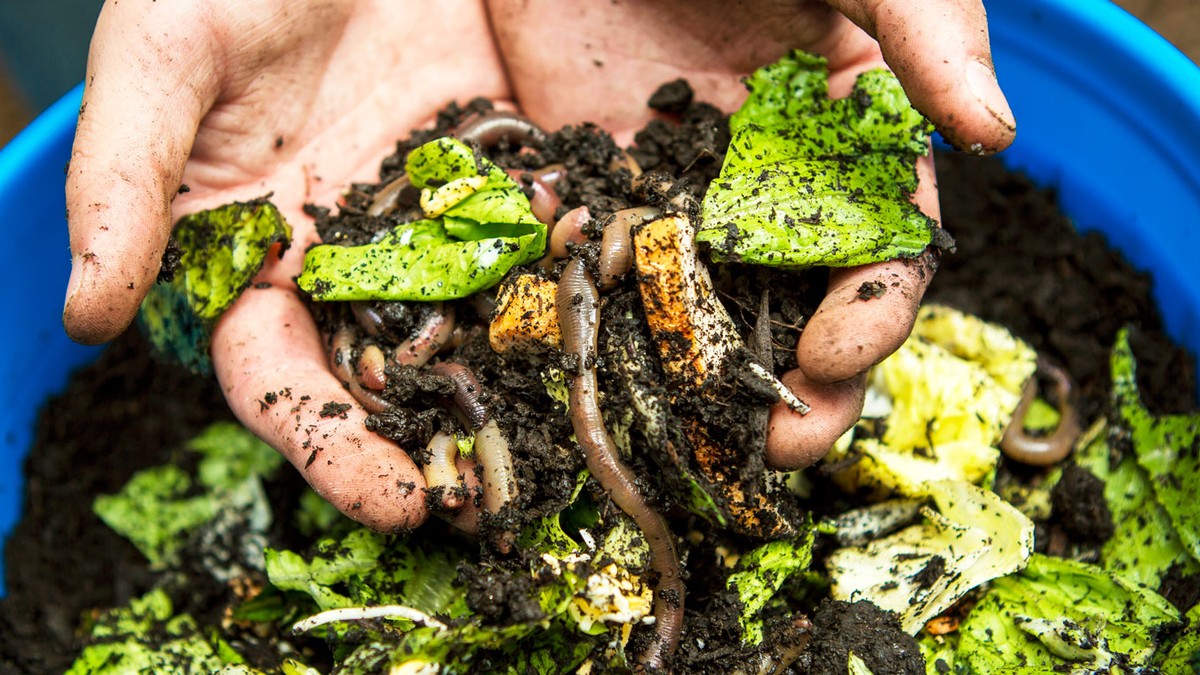 having a compost bin makes you care less about food waste